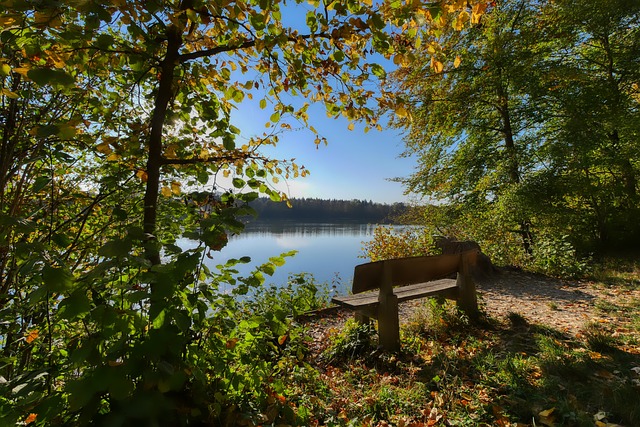 意甲真是欧洲球星的养老胜地。罗哥吃亏就吃亏在去的...