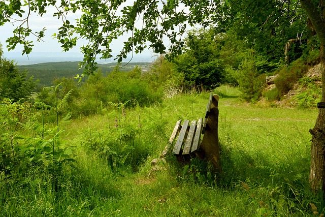 英超焦点战：利物浦主场迎战热刺,