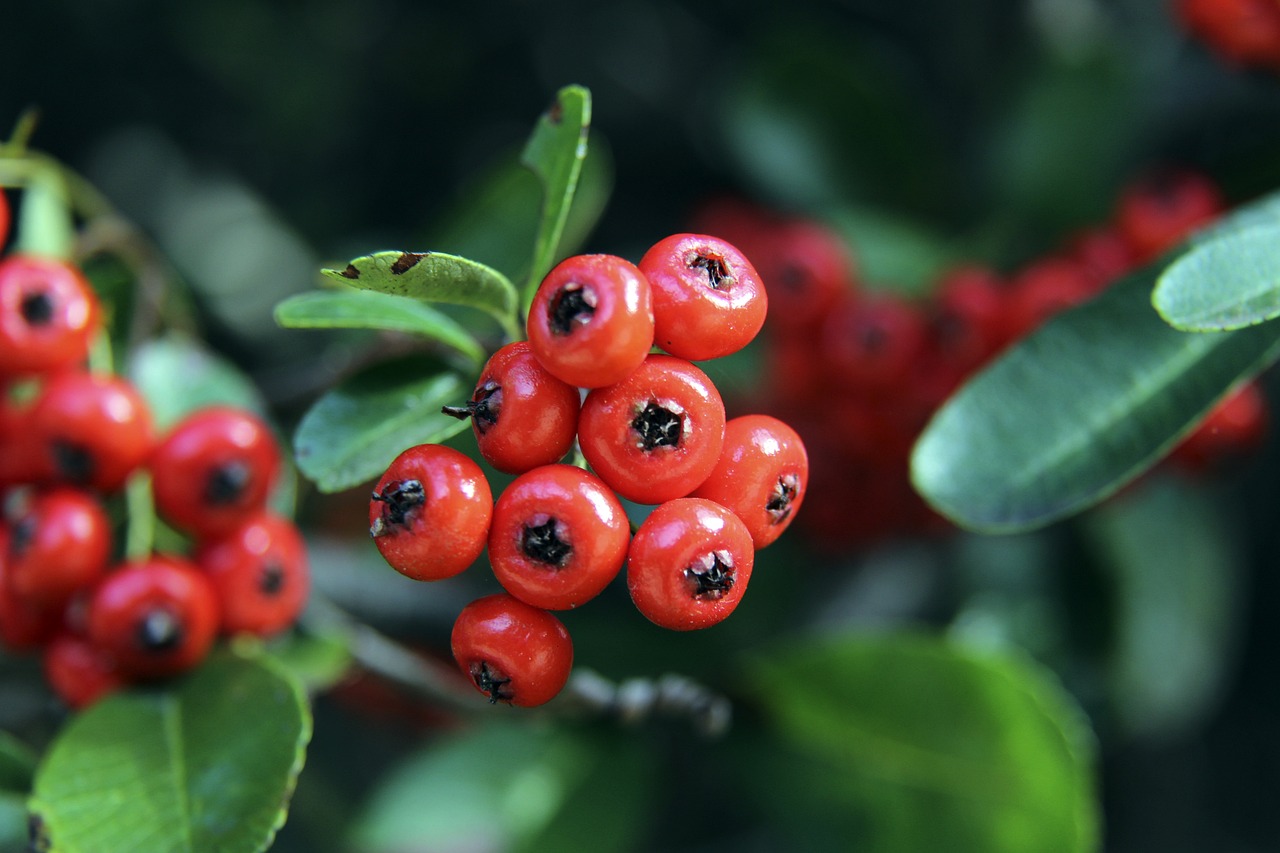 本泽马评选历史最佳阵容：